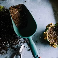 Hand Trowel Hand Trowel